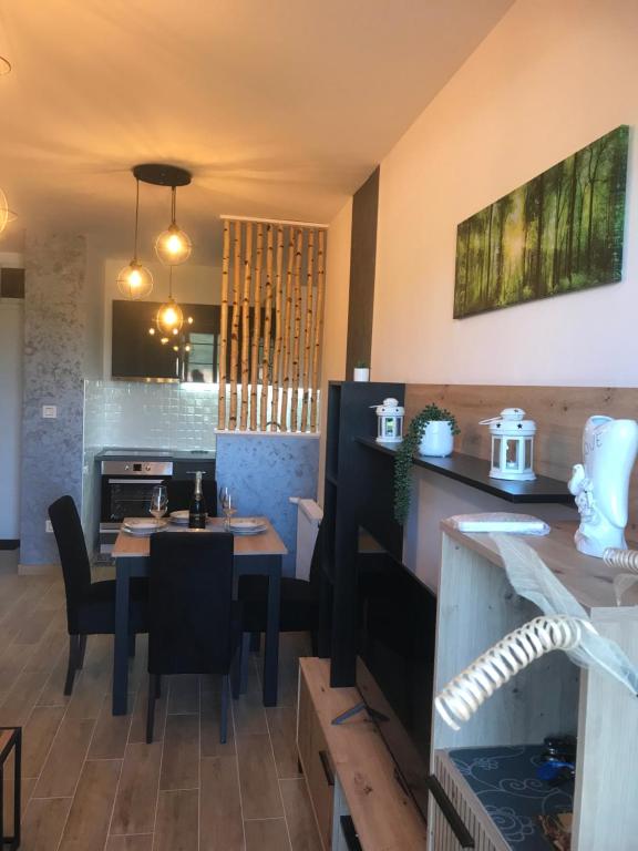 Apartman Sanja, Banja Koviljača