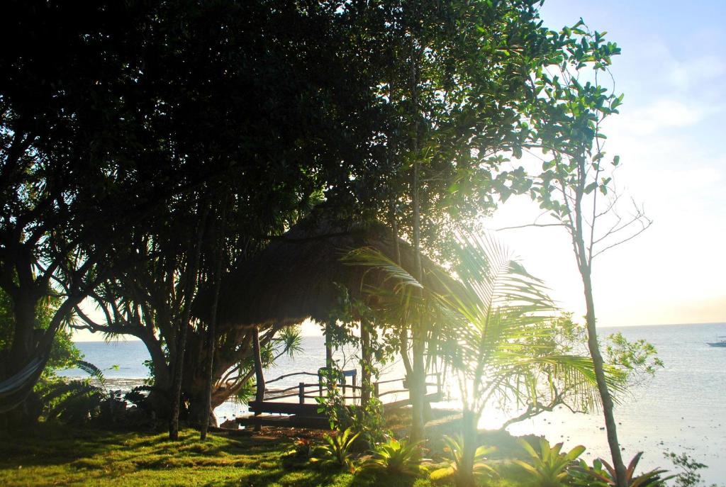 Surrounding environment