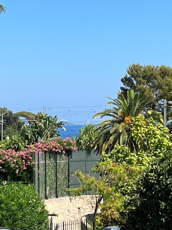 Charming studio in Cannes next to the beach, Cannes