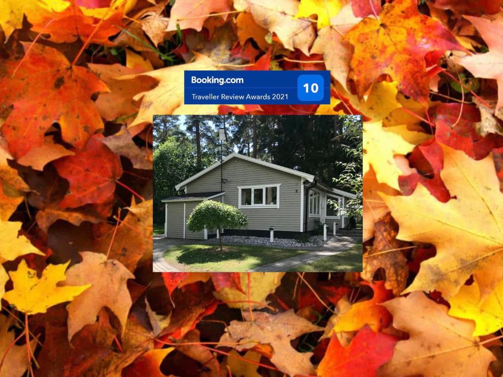 Nordic Relax House - Stonehouse, Sjöbo