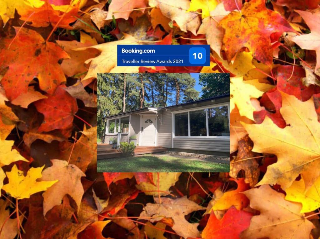 Nordic Relax House - WoodHouse, Sjöbo