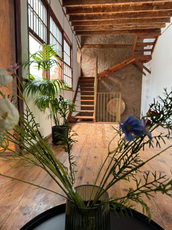 Laguna Cool Living - 5