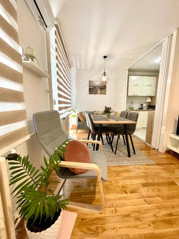 Tiara Vracar Apartment - 5