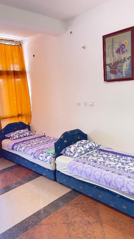 Hostel flash ulcinj - 3