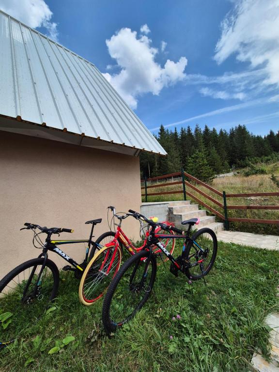 Guest House Tamara - 3