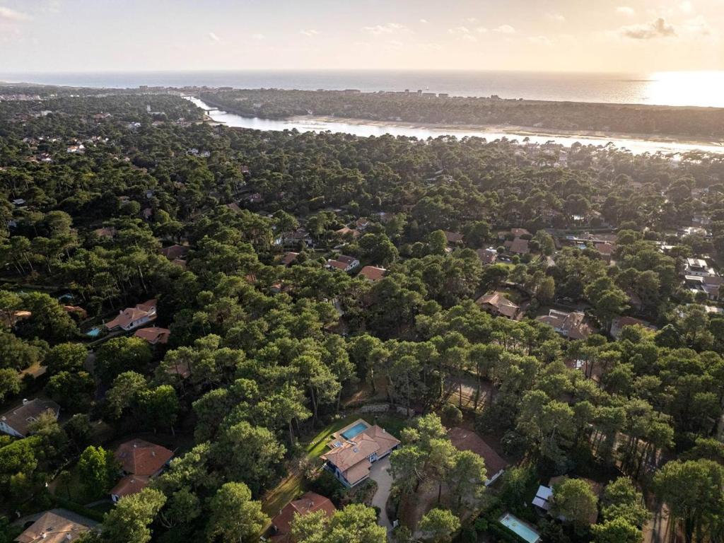 Villa de luxe avec piscine chauffée, jacuzzi, sauna au cœur de la forêt des Landes - 5