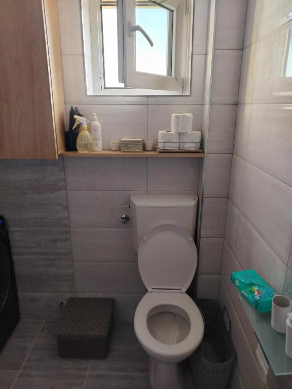 Stan na dan Niš - 3