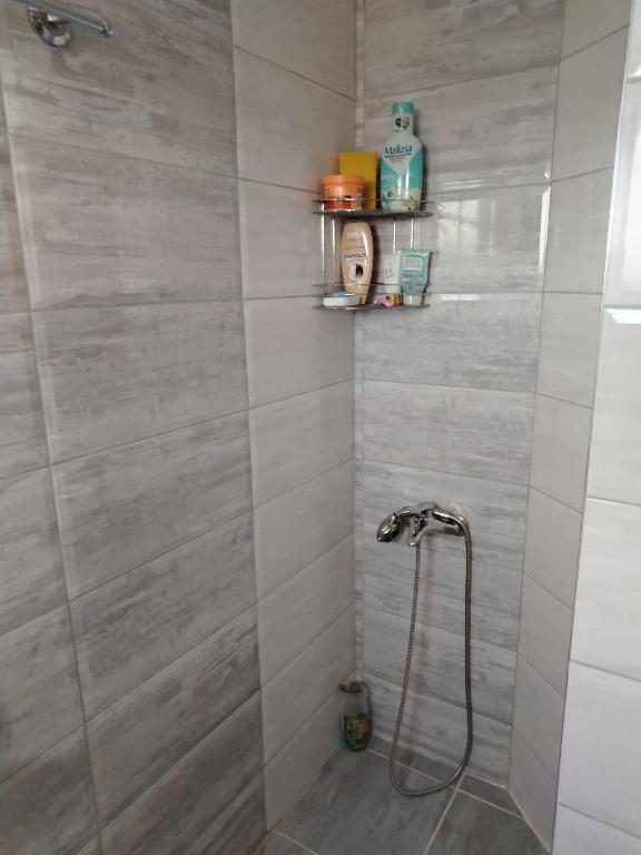 Stan na dan Niš - 4