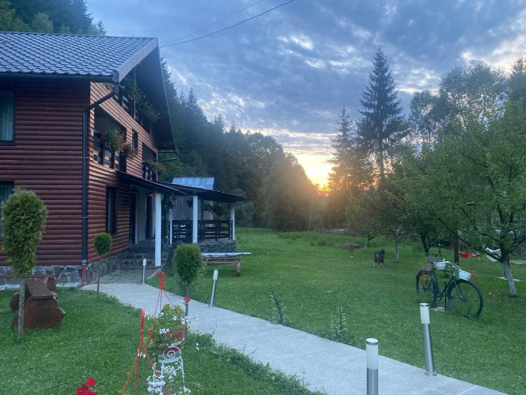 Cabana Briana, Borşa