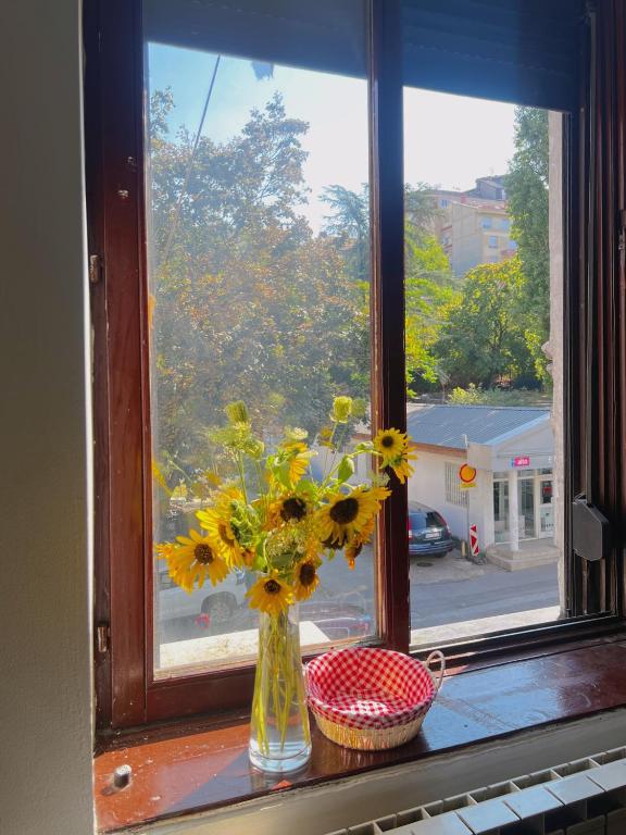 Happy Cat Old Town Hostel - 4