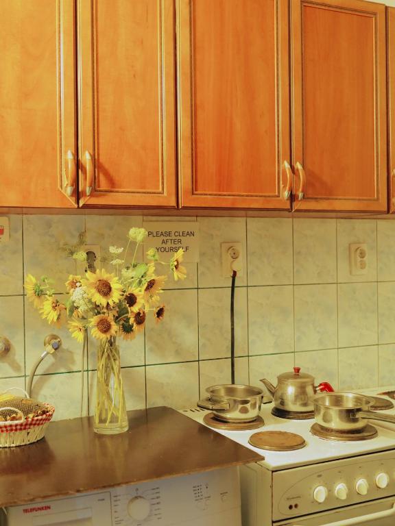 Happy Cat Old Town Hostel - 5