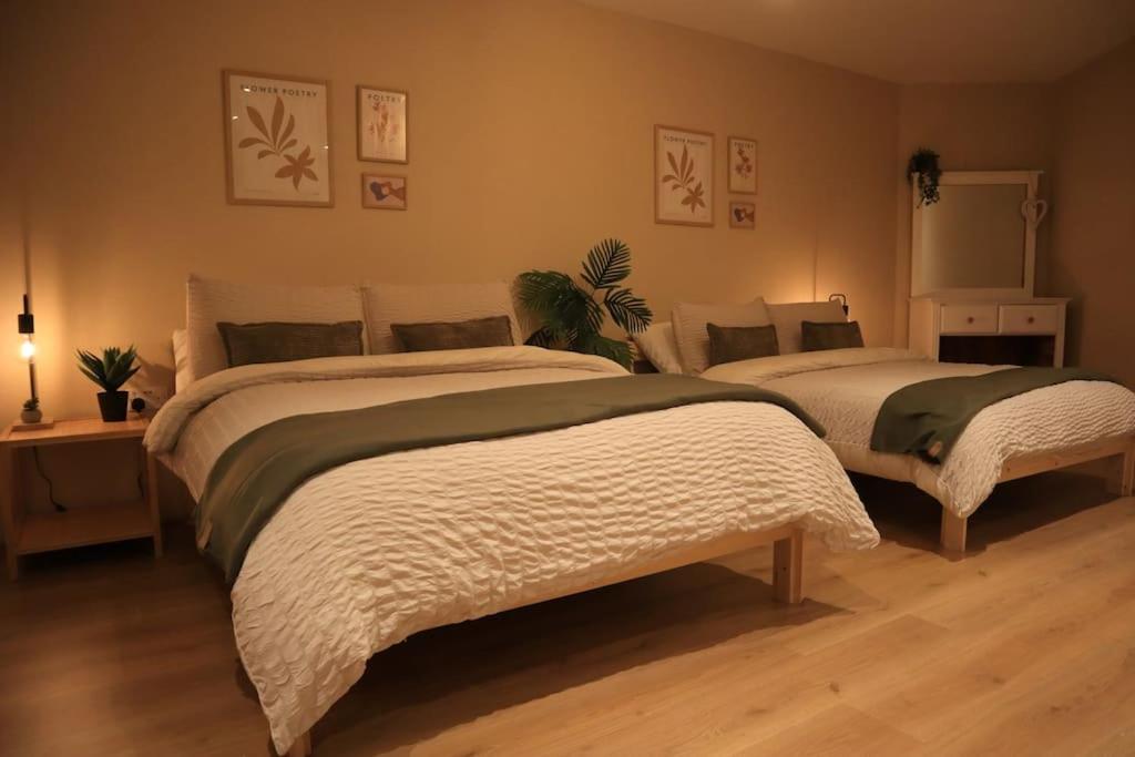 Modern Studio Apartment in Cashel, Cashel