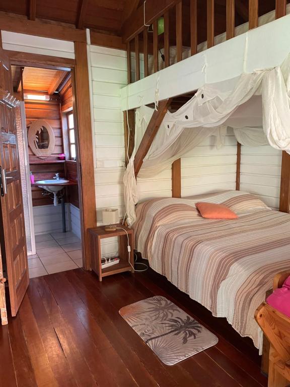 EDEN Mango, Terre-de-Haut