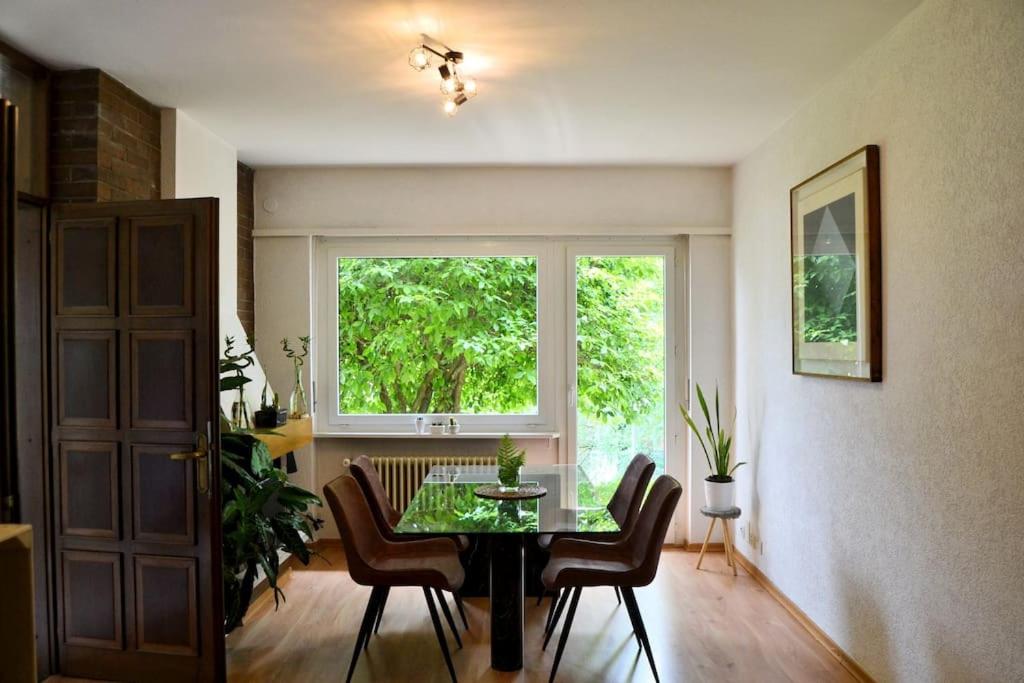 A Jump into Nature in Lugano, Massagno