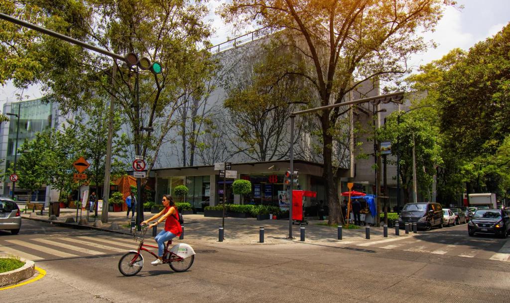 Masaryk 123 Executive Luxury Apartments in Polanco - 4