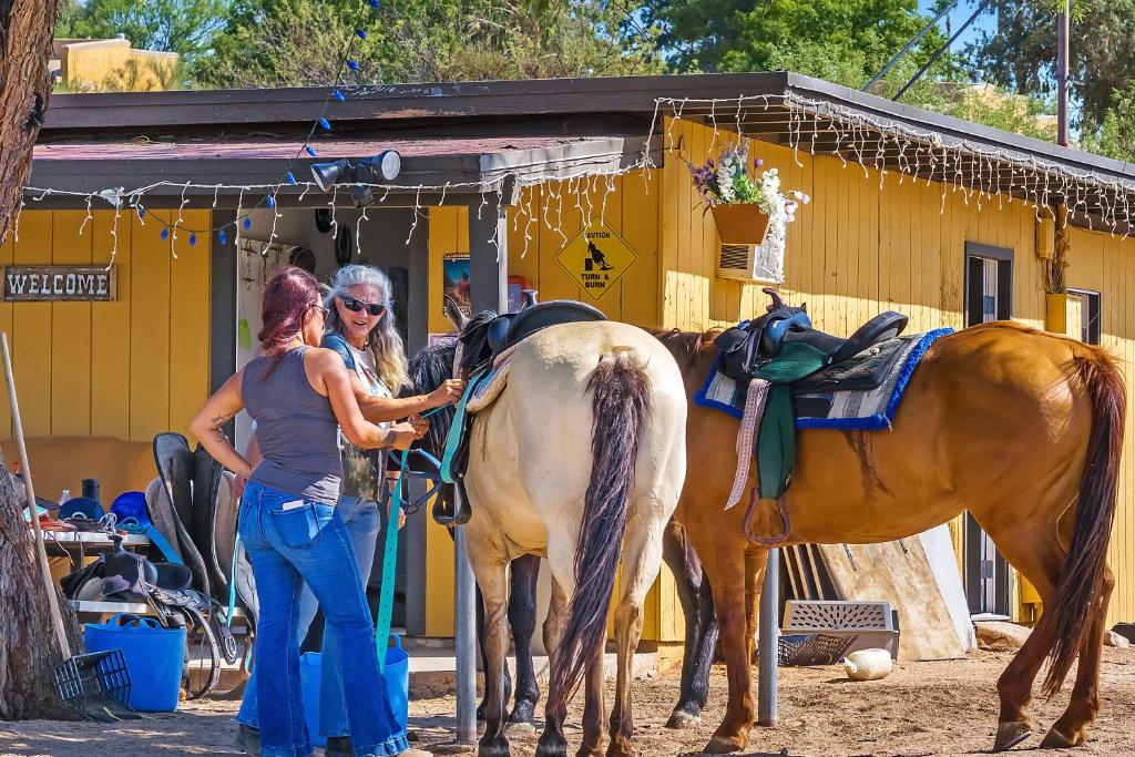 Horseback riding