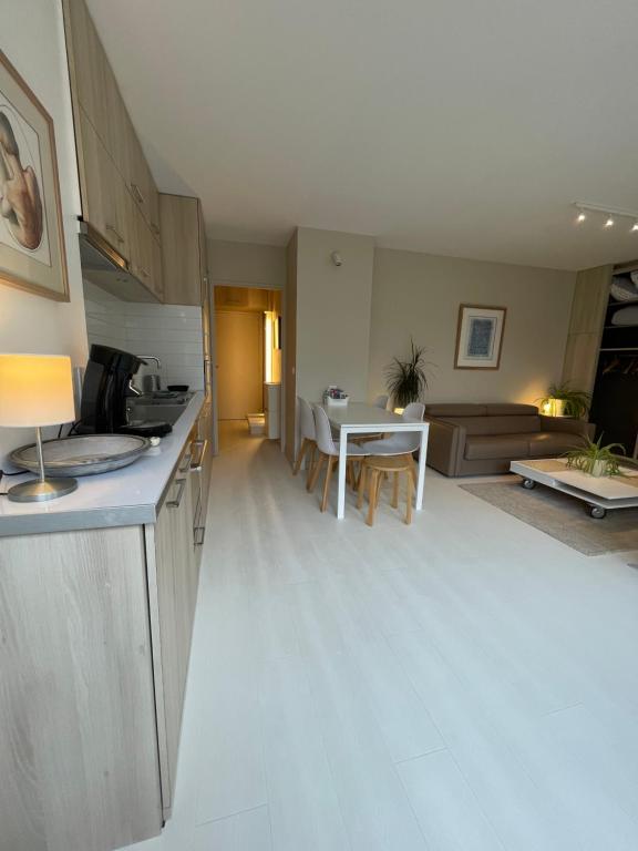 Appartement ,superbe terrasse 40m2 , vieux Lille , centre ville - 3