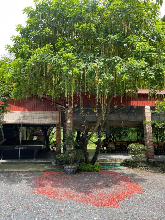 Trang An Memory homestay