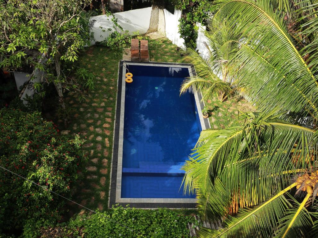 スイミングプール