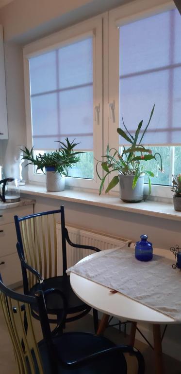 WEEKEND 88m BIG APARTAMENT Numer 1 LUBLIN dobry standard blisko centrum - poczuj sie jak w domu i przedłuż bezpośrednio rezerwację by zostać u nas na dłużej bez opłat za strefę parkowania, Lublin