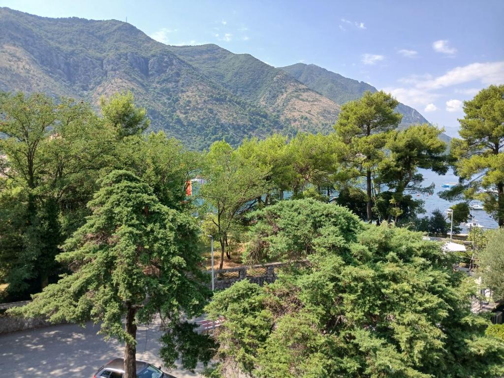 Apartment Icemoon - 5