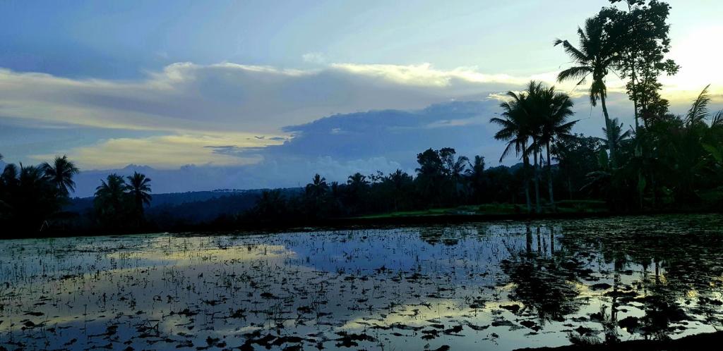 Surrounding environment