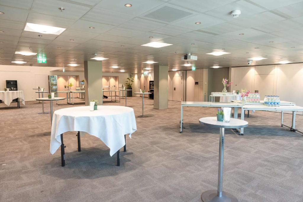 Săli de conferințe / săli de festivități