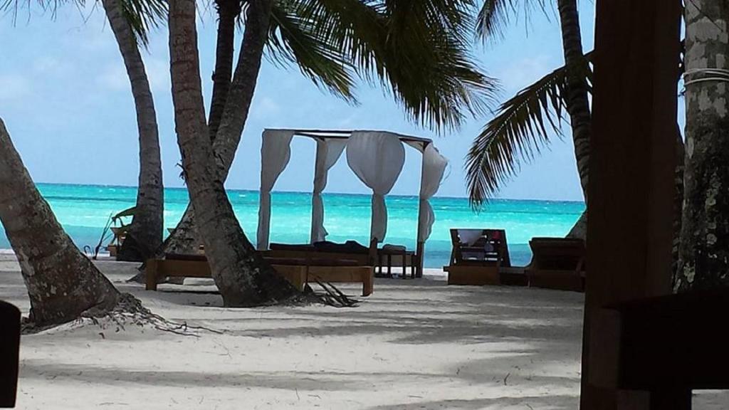 Cadaques Caribe Pez 103 — Hotel in Bayahibe