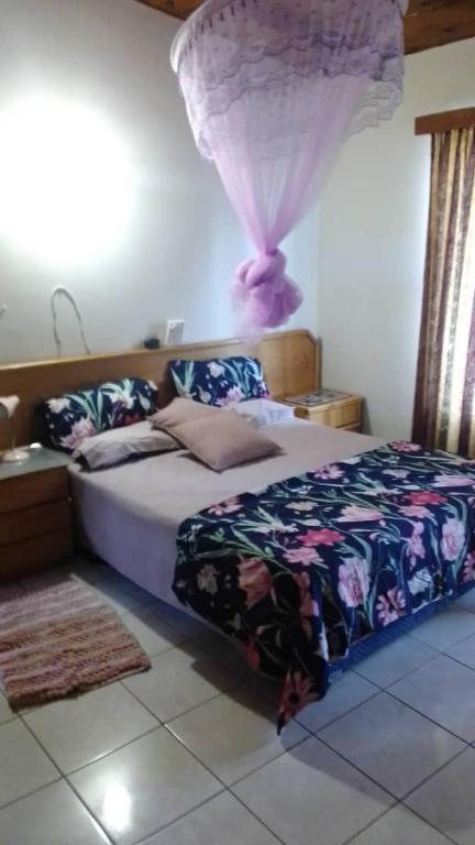 Palmsrus, Hentiesbaai