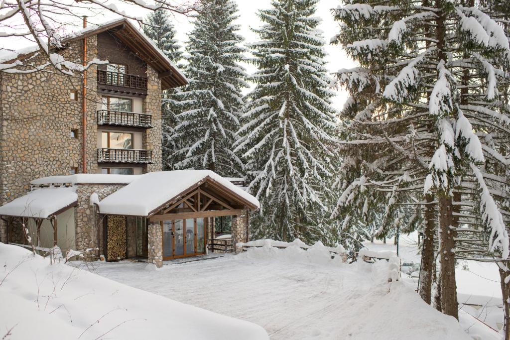 Ana Hotels Bradul Poiana Brasov - zdjęcie 4