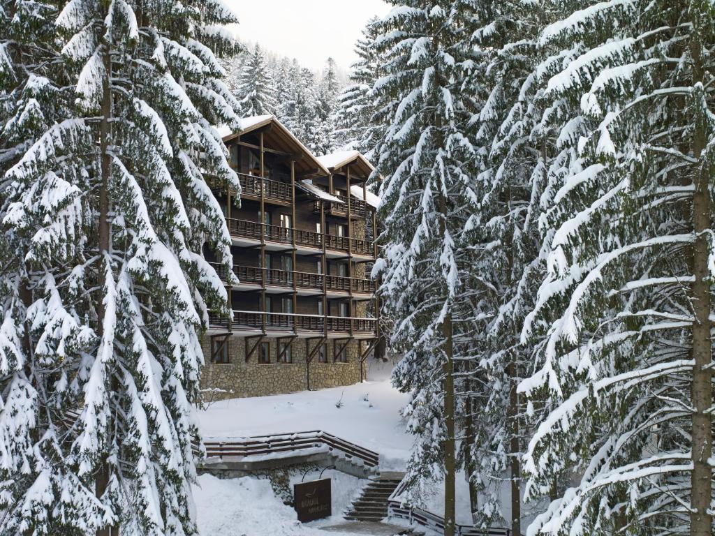 Ana Hotels Bradul Poiana Brasov - zdjęcie 3