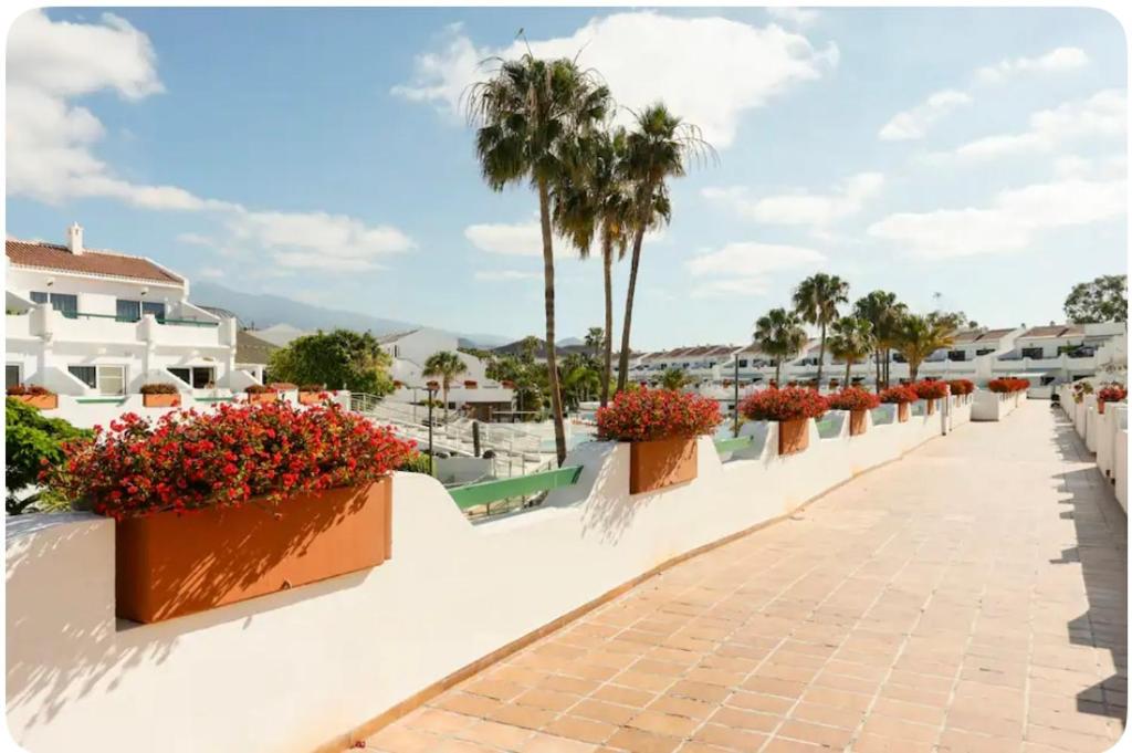 Parque don Jose, Costa del Silencio, Tenerife - 5