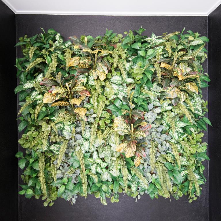 バルコニー/テラス