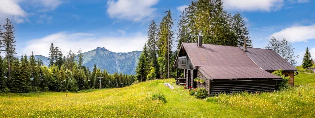 Schnaitstadl-Alm Selbstversorgerhütte - 2