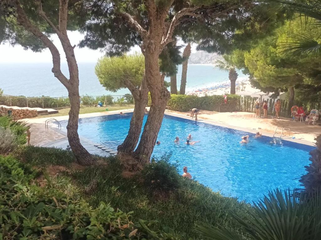NUEVO APTO BALCON DE PONIENTE 1 A LÍNEA PLAYA TORRE 2 LUXE SM CON AIRE, PISCINA,JAR VISTAS ESPECTACULARES AL MAR De BENIDORM - 3