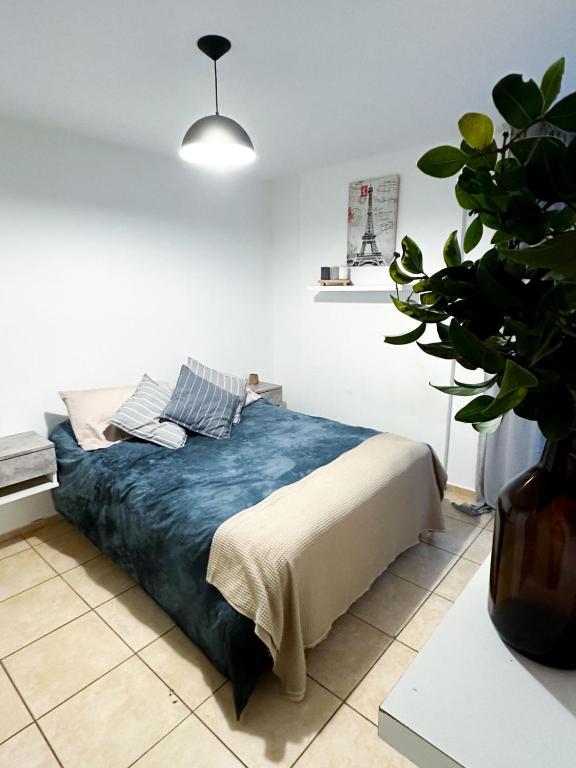 Amplio y Luminoso Departamento, Centro Córdoba by INMOVE Temporarios - 3