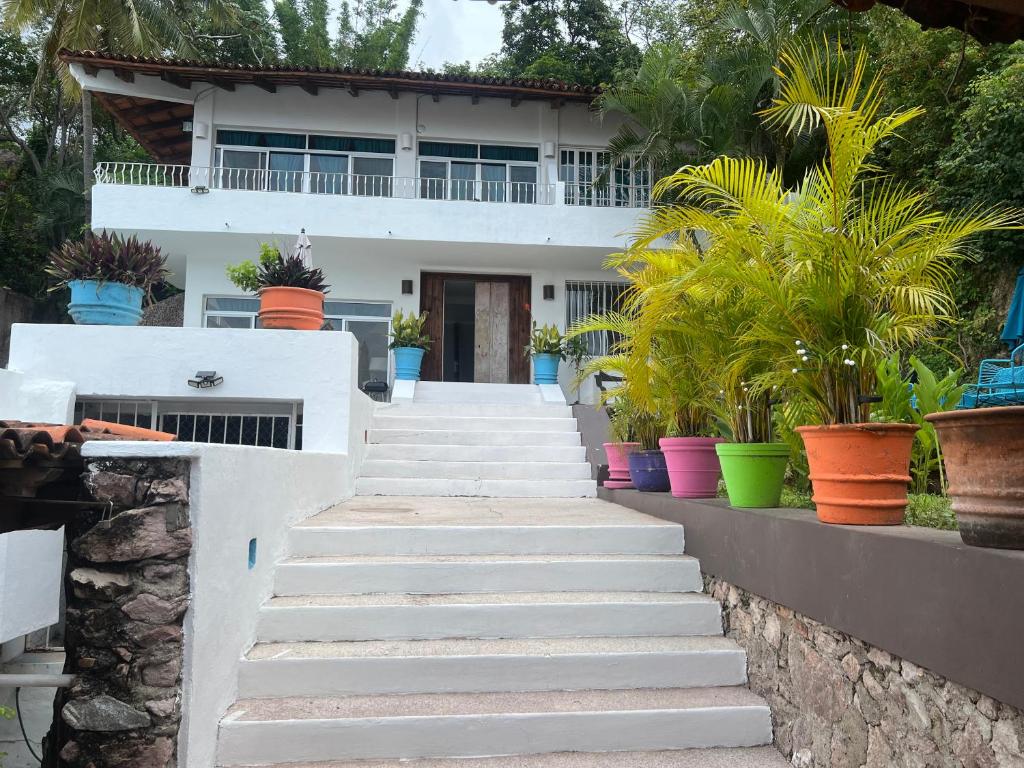 Villa Miramar , Central Vallarta - 1