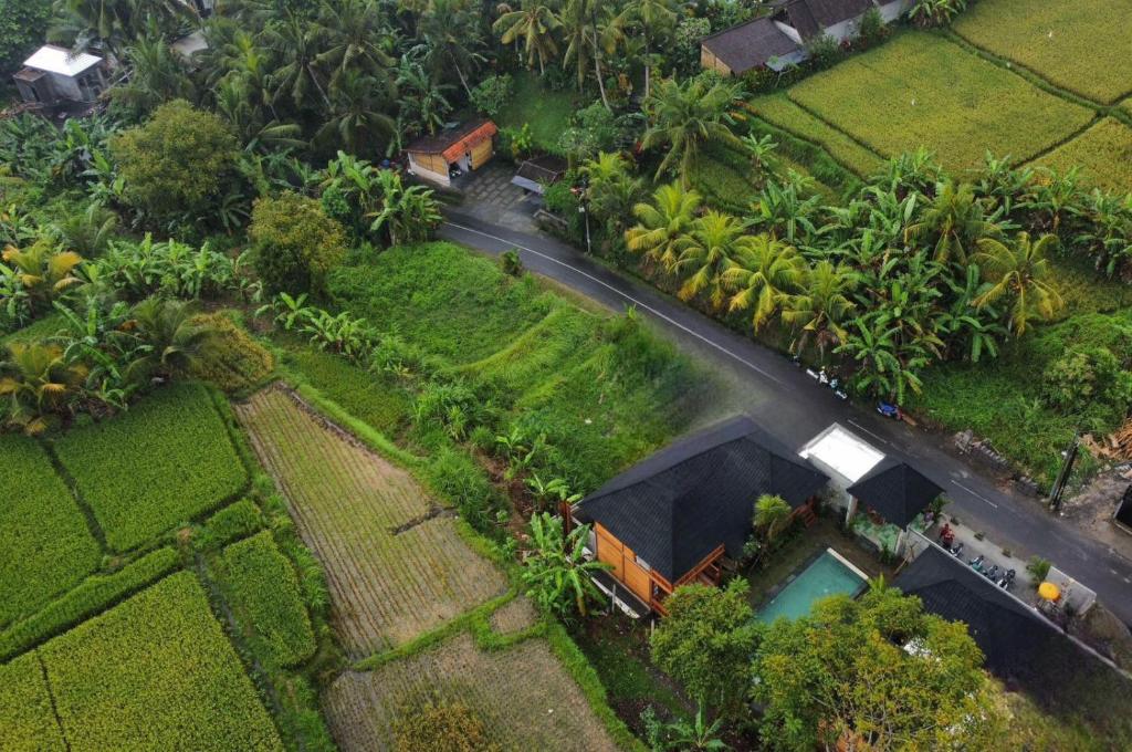 Harmony Wooden Villas