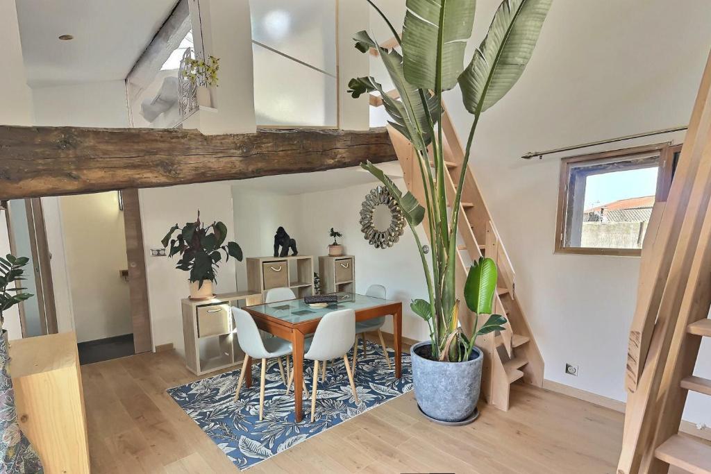 Jungle Loft Béziers centre - 2