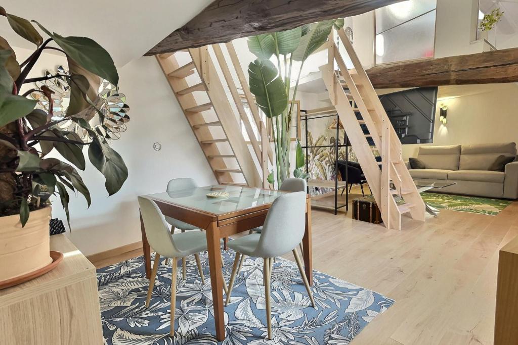 Jungle Loft Béziers centre - 4