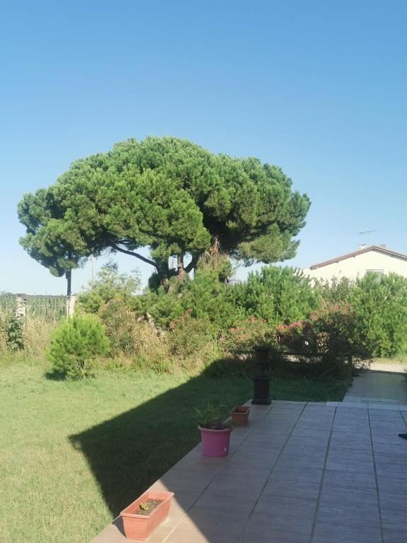Plages de camargue et logement dans un site calme de rêve - 5