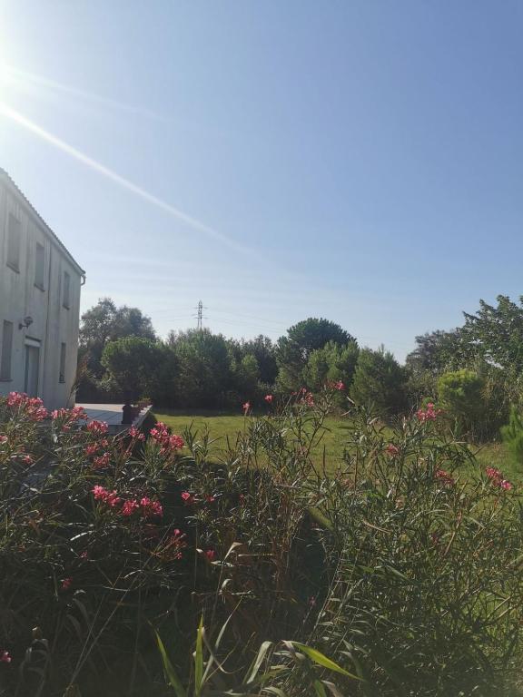 Plages de camargue et logement dans un site calme de rêve - 2