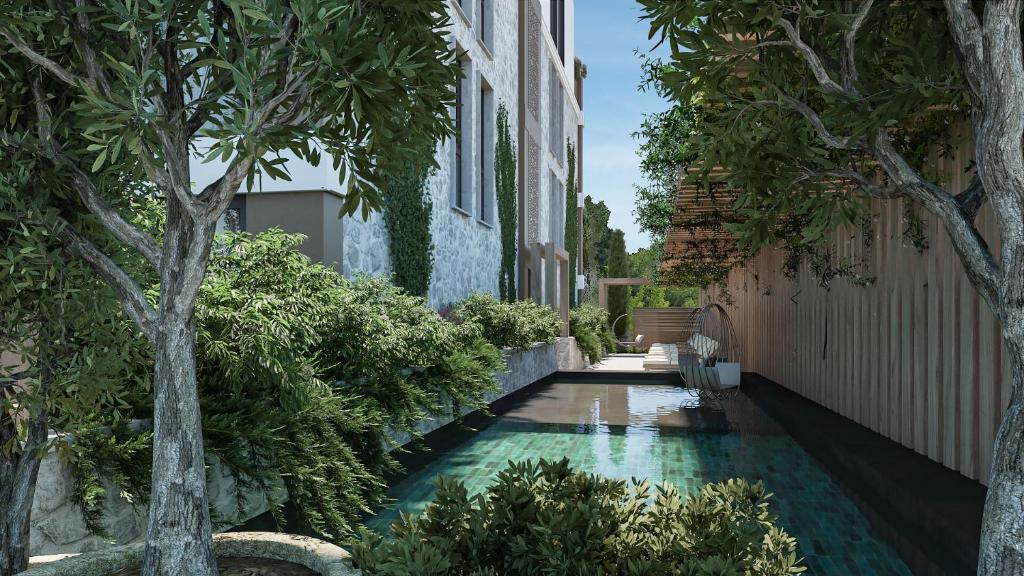 Onia Luxury - 1
