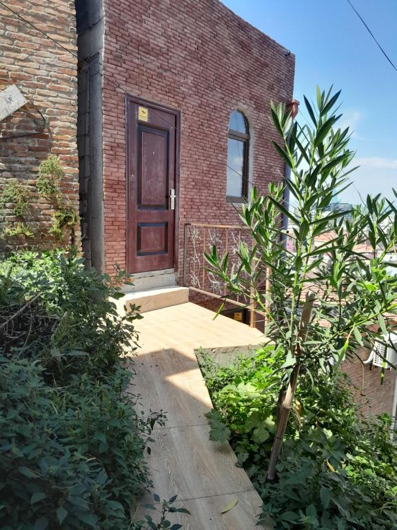 overlooking old Tbilisi nino, Tbilisi