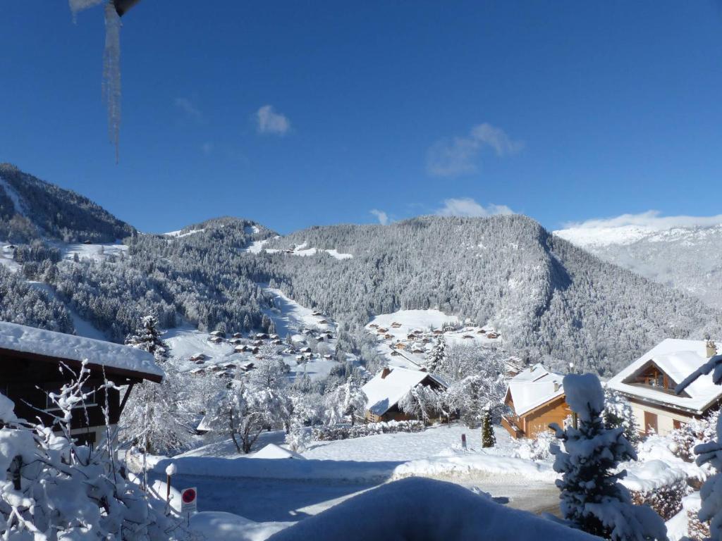 Alpee 2 - Appartement proche pistes de ski - 3