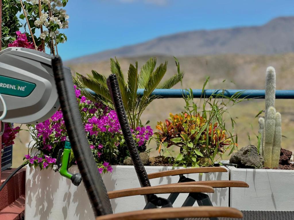 Sunset Hideaway-Roque del Conde - 5