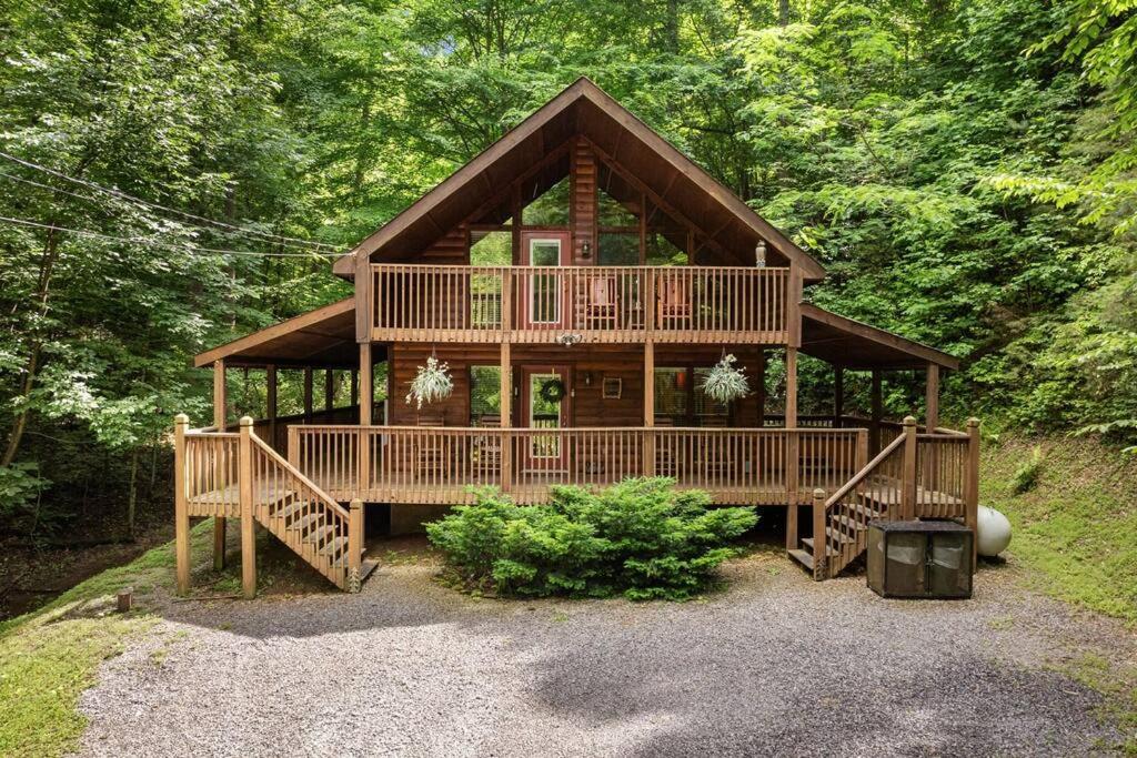 Hidden Joy, Cartertown