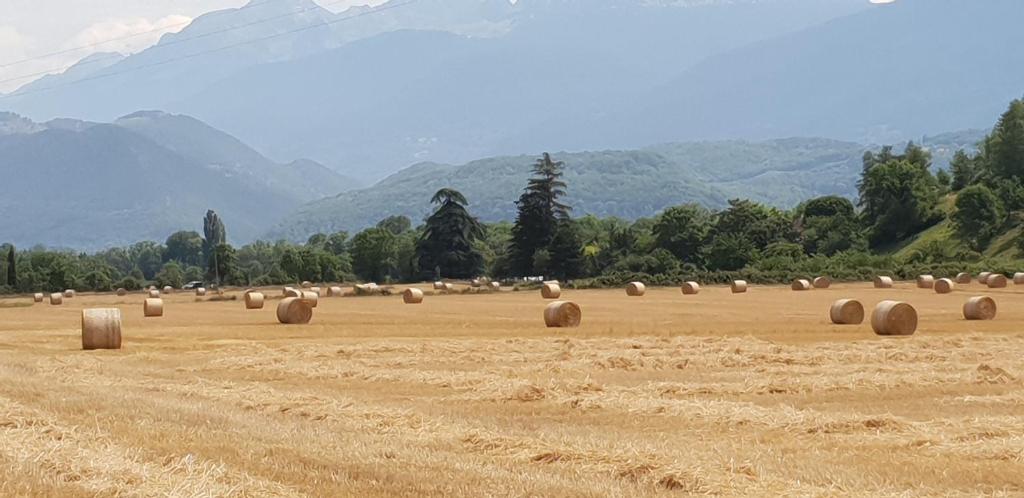 La Santon Chambres d'hôtes - 4