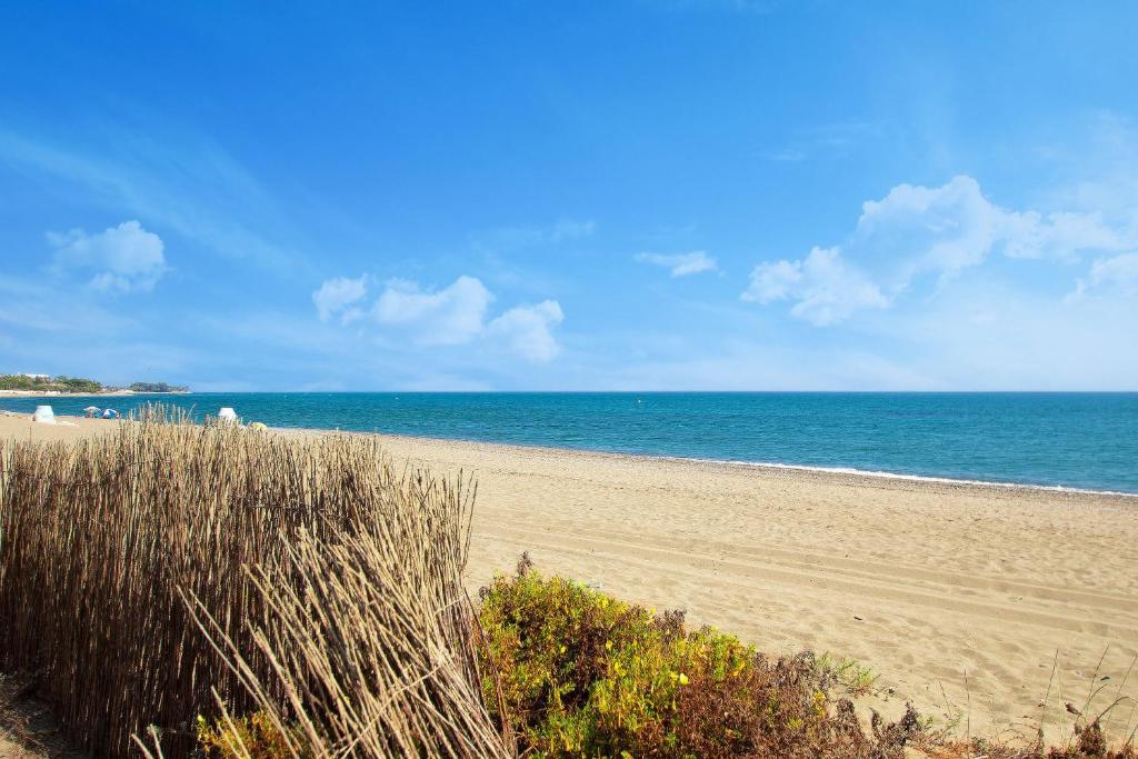 1072 Beachfront El Paraiso Retreat with Pool & BBQ - 5