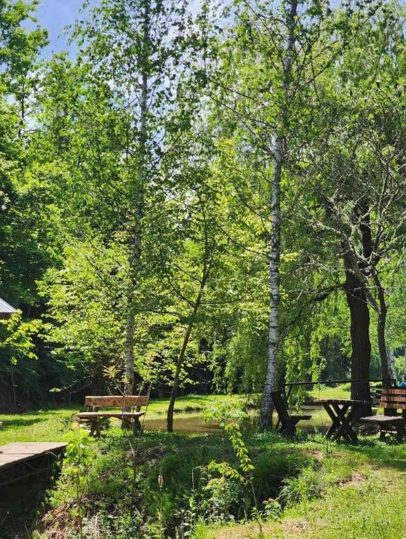 Ognjište, Prokuplje